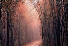 山东泰山4比3逆转梅州，三大外援包办四粒进球，比赛过程跌宕起伏.