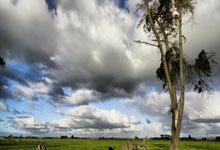 加油！国乒今日战日本新华社微博.