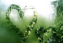 费斯塔彭：红牛战车当前并非最快 但情况会随赛季改变.