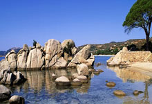 j9九游会：詹姆斯谈东契奇交易：因为我没被交易过，我无法设身处地.